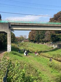 野川ゴミ拾い中