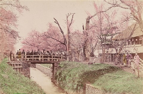 手彩色写真「小金井橋の景」