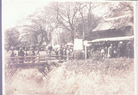 写真「小金井橋の花見風景」大正末年