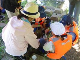 写真：野川の環境とミクロな生きもの調査
