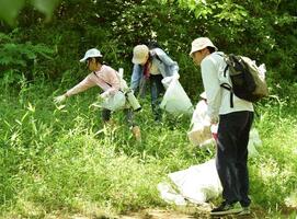写真：野川を散策清掃大作戦