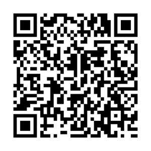 小金井カメすけHP